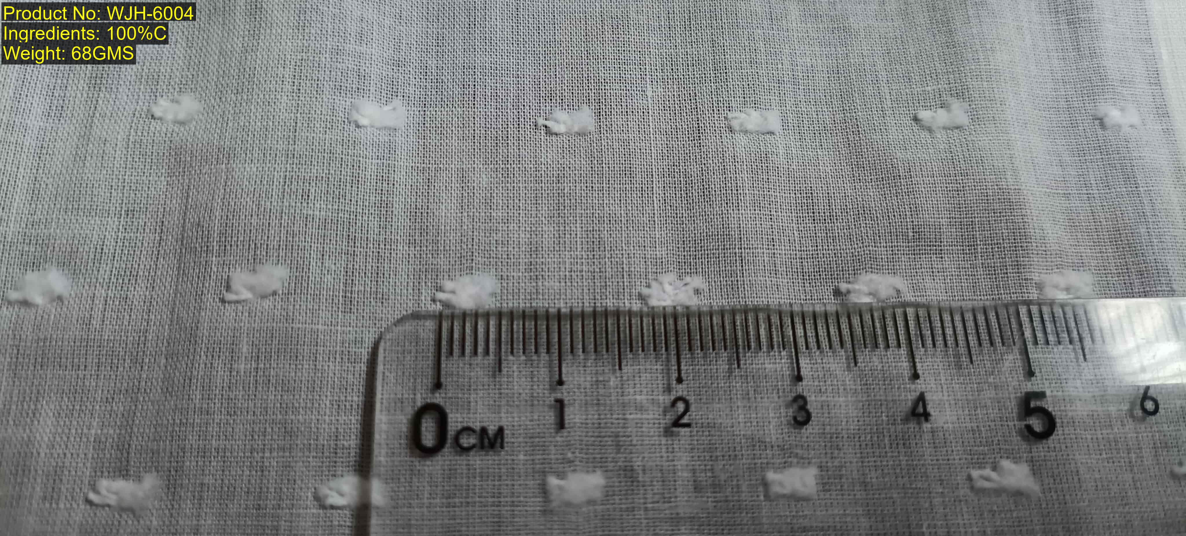 WJH-6004 Broderie Anglaise Fabric Manufacturer