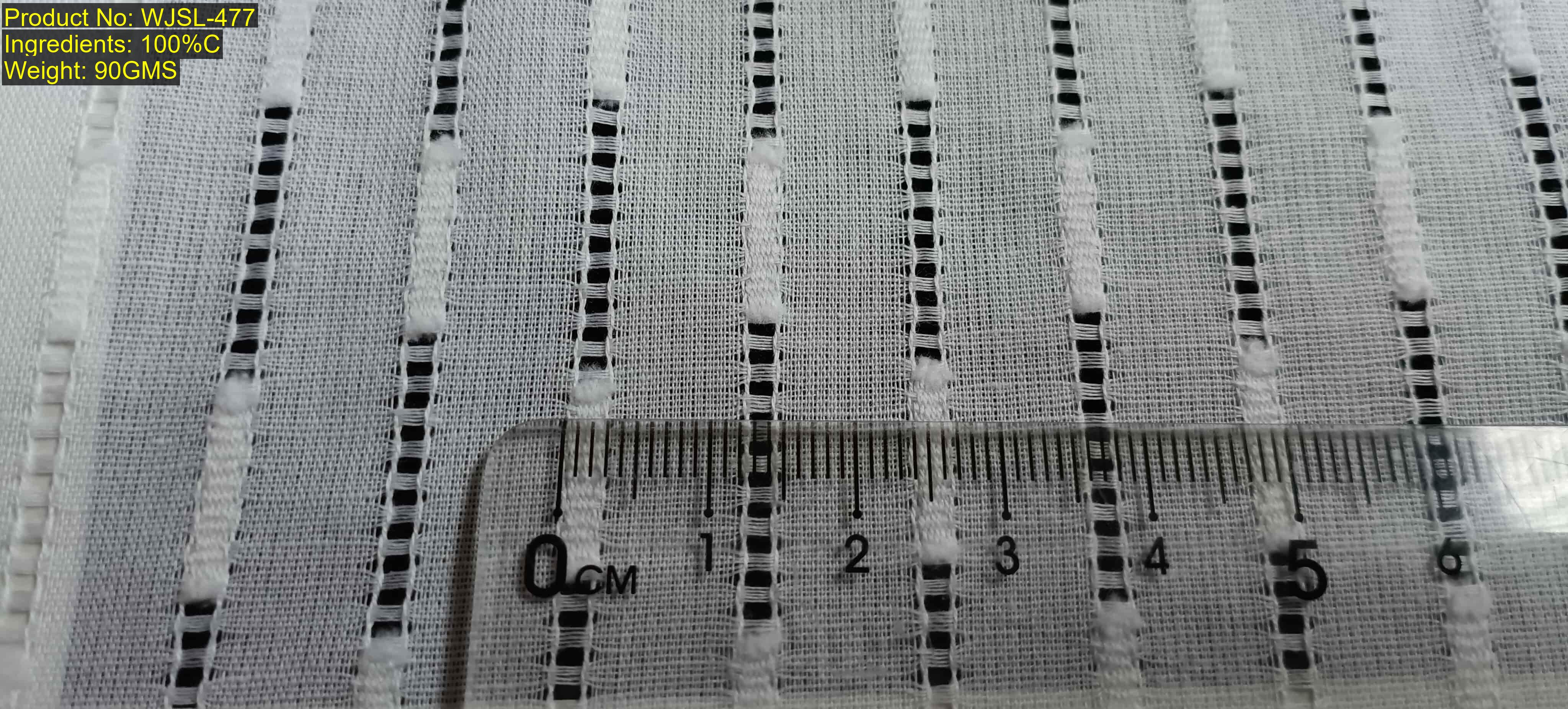 WJSL-477 Broderie Anglaise Fabric Manufacturer