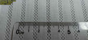WASL-14-30 100% cotton leno weave small jacquard fabric with regular vertical openwork stripe structure and ruler reference